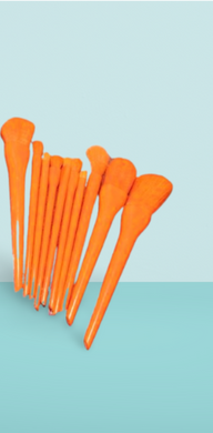 Makeup Brush Set –